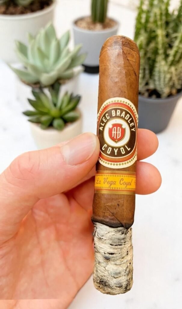 Alec Bradley Coyol 5 imported cigarette 159xblix product photo