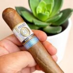 Alec Bradley Project 40 Robusto 5 imported cigarette 159xblix product photo