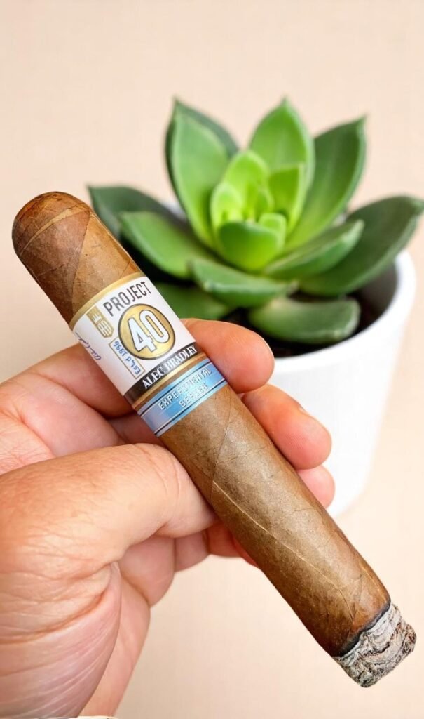 Alec Bradley Project 40 Robusto 5 imported cigarette 159xblix product photo