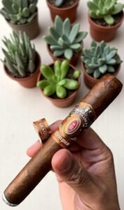 Alec Bradley Tempus Nicaragua 6 imported cigarette 159xblix product photo
