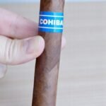 Cohiba Blue Robusto 5.5 imported cigarette 159xblix product photo