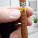 Cohiba Habana Cuba Short imported cigarette 159xblix product photo