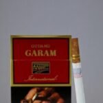 Gudang Garam International imported cigarette 159xblix product photo