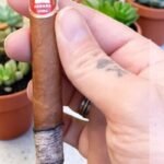 H.Upmann Coronas Junior 4 imported cigarette 159xblix product photo
