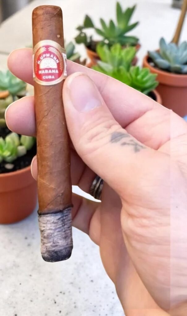 H.Upmann Coronas Junior 4 imported cigarette 159xblix product photo