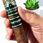 H.Upmann The Banker Daytrader 6 imported cigarette 159xblix product photo