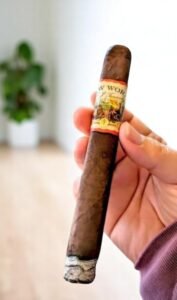 New World Oscuro by AJ Fernandez Toro 6 imported cigarette 159xblix product photo