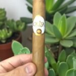 Oliva Connecticut Reserve Toro 6 imported cigarette 159xblix product photo