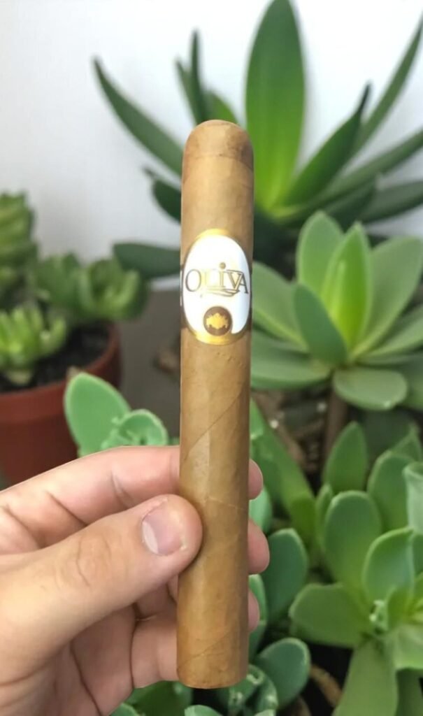 Oliva Connecticut Reserve Toro 6 imported cigarette 159xblix product photo