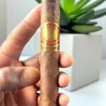 Oliva Gilberto Reserva Robusto 6 imported cigarette 159xblix product photo