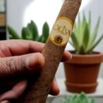 Oliva Serie G Cameroon Figurado 6 imported cigarette 159xblix product photo