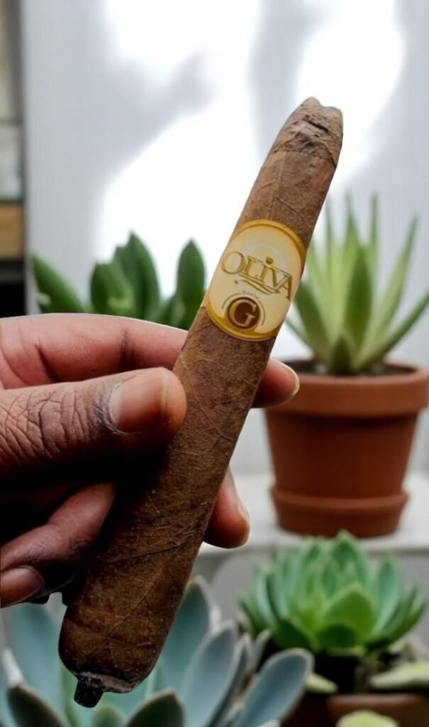 Oliva Serie G Cameroon Figurado 6 imported cigarette 159xblix product photo