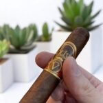 Oliva Serie V Double Robusto 5 imported cigarette 159xblix product photo