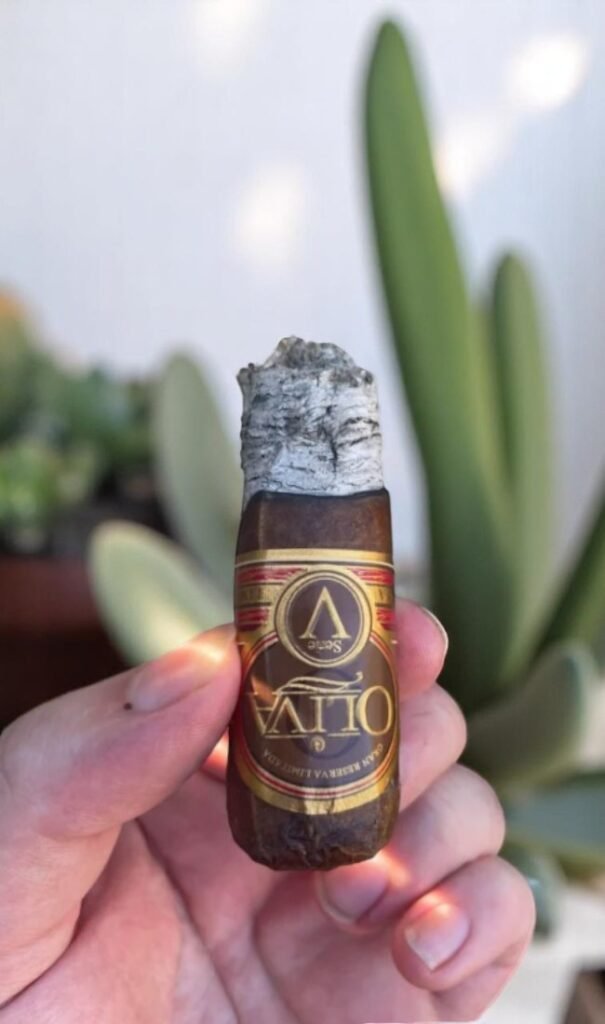Oliva Serie V Melanio Robusto 5 imported cigarette 159xblix product photo