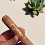 Oliva Serie V Melanio Toro 6 imported cigarette 159xblix product photo