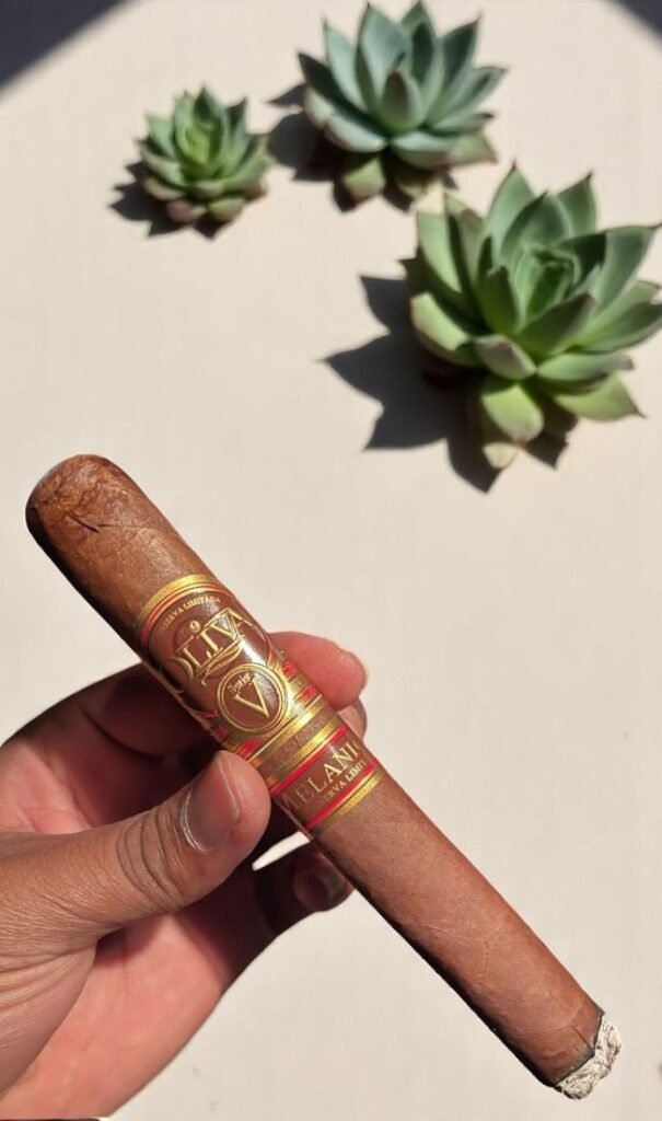 Oliva Serie V Melanio Toro 6 imported cigarette 159xblix product photo