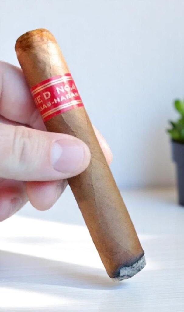Partagas Serie D No.4 4.8 imported cigarette 159xblix product photo