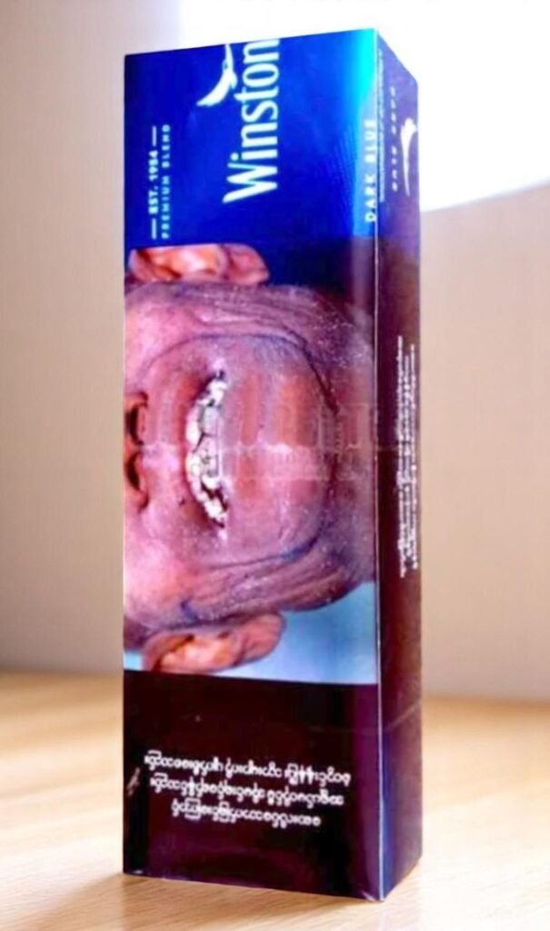 Winston Dark Blue imported cigarette 159xblix product photo