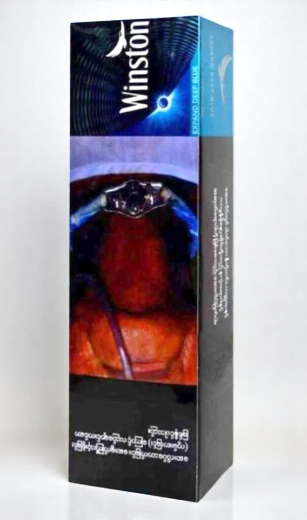 Winston Deep Blue imported cigarette 159xblix product photo