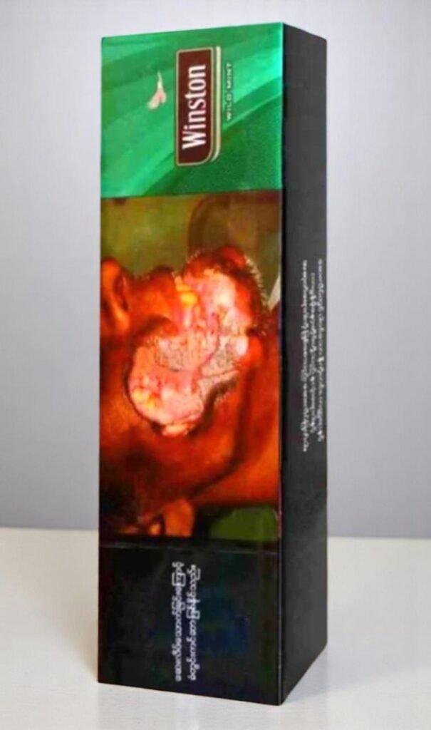 Winston Wild Mint imported cigarette 159xblix product photo