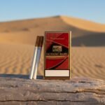 Gudang Baru International 20 (กูแดง บารู อินเตอร์เนชั่นแนล) บุหรี่หวานสายร้อนพรีเมียม imported cigarette wholesale product photo