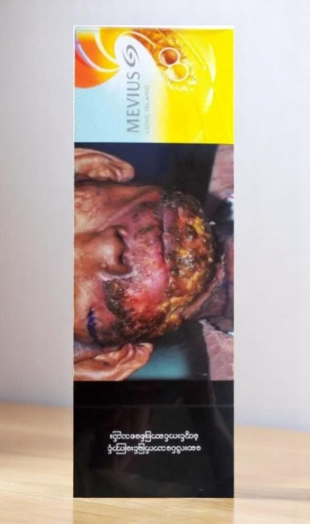 Mevius Long Island Lemon & Menthol imported cigarette 159xblix product photo
