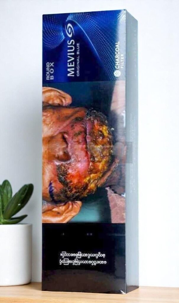 Mevius Original Blue imported cigarette 159xblix product photo